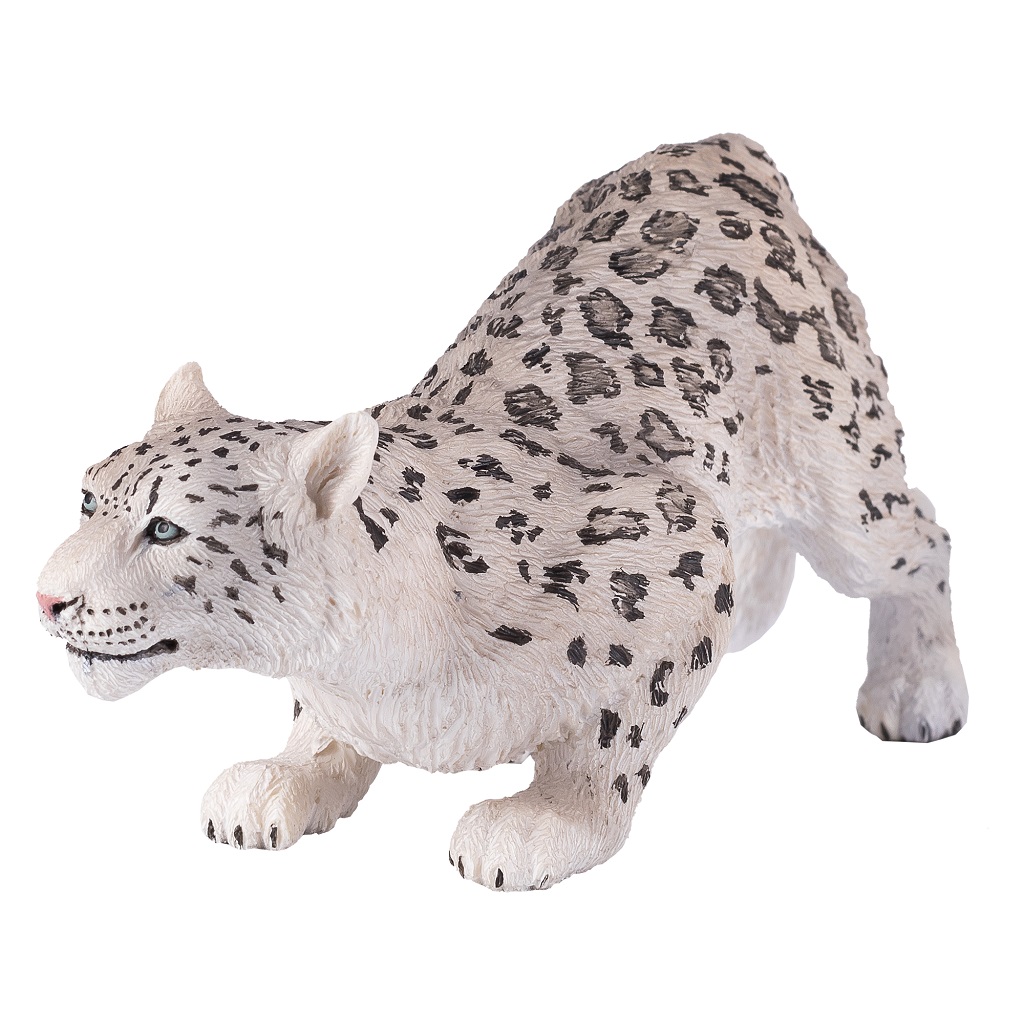 Fotografie Mojo Sněžný leopard