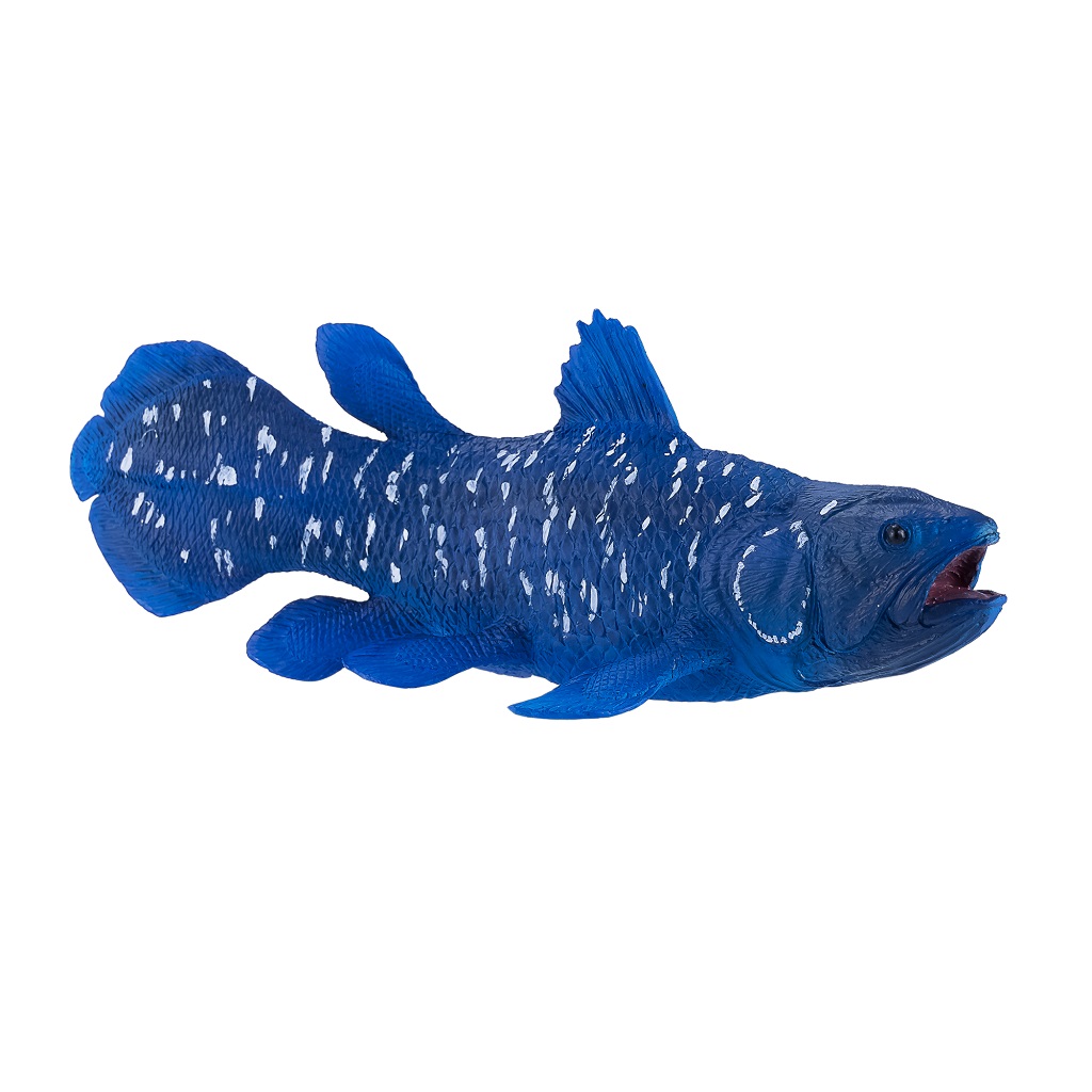 Fotografie Mojo Coelacanth