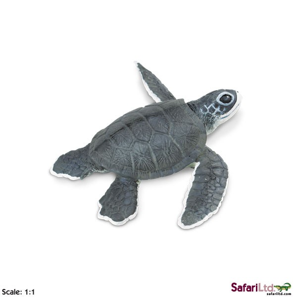 Safari Ltd.Mládě mořské želvy