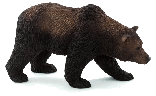 Fotografie Medvěd grizzly / Mojo Animal Planet