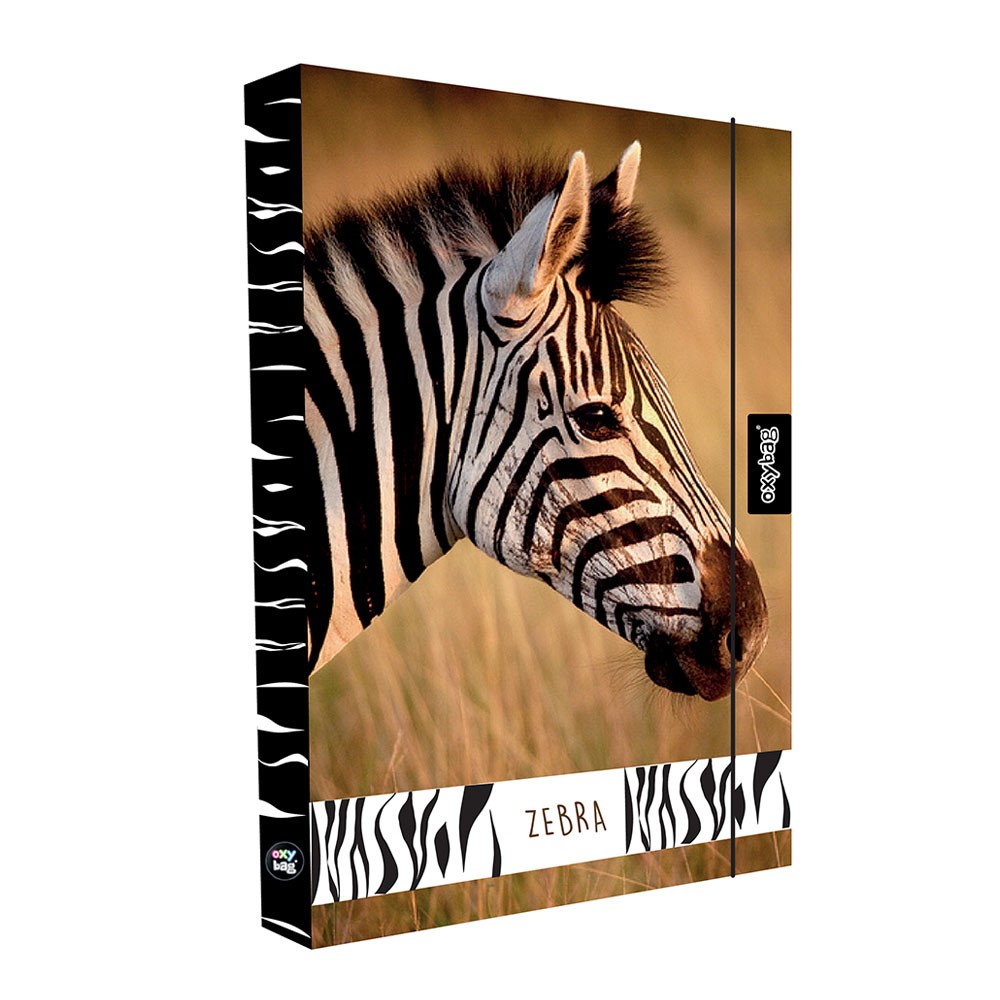 Fotografie Box na sešity A4 Jumbo Zebra