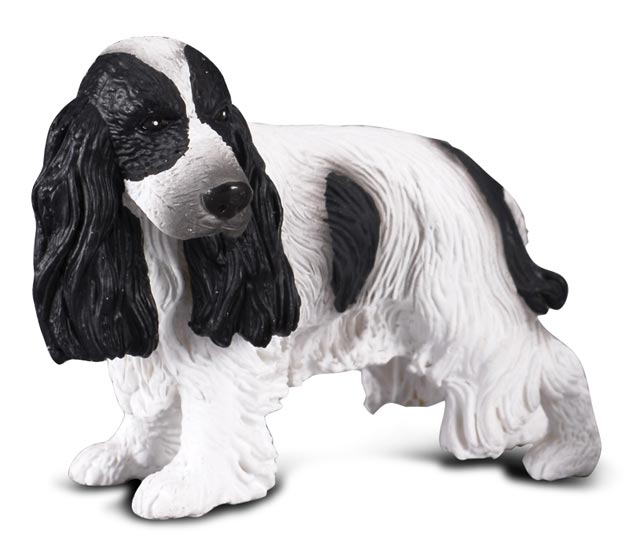 Fotografie COLLECTA Anglický kokr