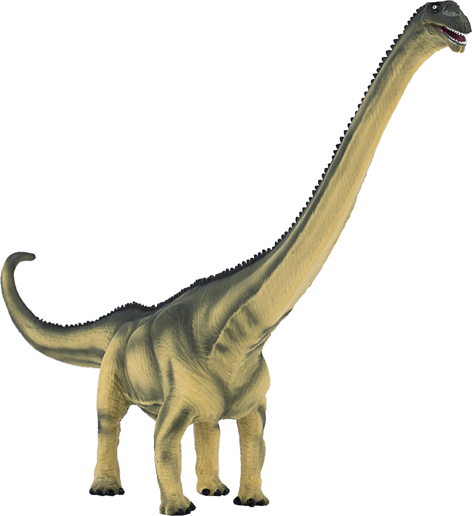 Fotografie Mojo Mamenchisaurus deluxe