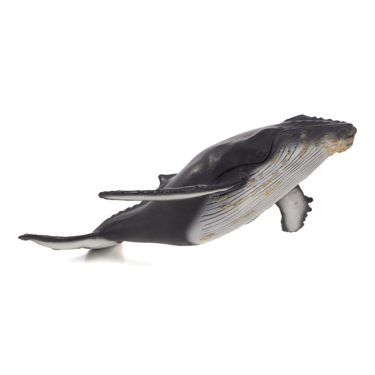 Fotografie Mojo Keporkak deluxe