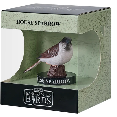 Fotografie Mojo Vrabec domácí v krabičce