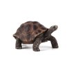 387259 GIANT TORTOISE e1485443639702 540x420