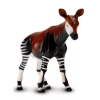 okapi