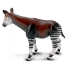 okapi
