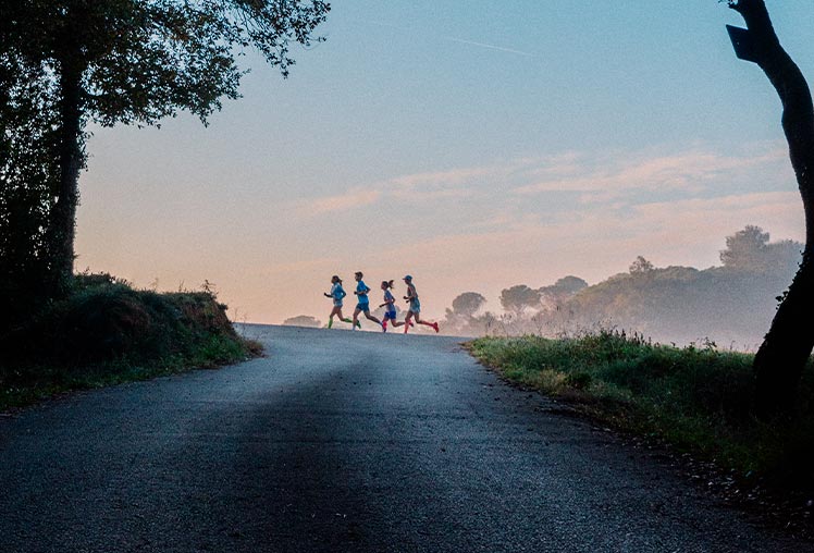 KOLEKCIA JAR/LETO 2025