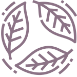 Környezettudatosság