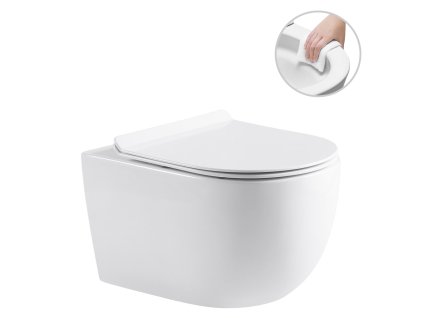 417377 2 felci bila leskla