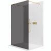 DuoCube2
