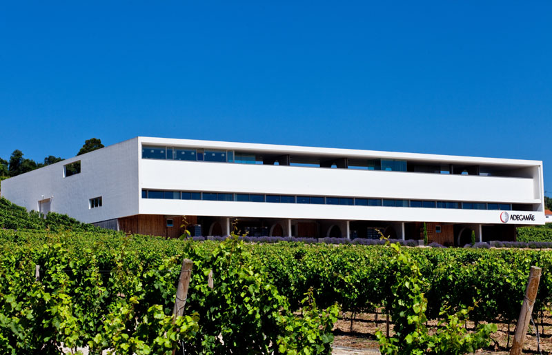 Adega Mae, vína ovlivněná Atlantikem