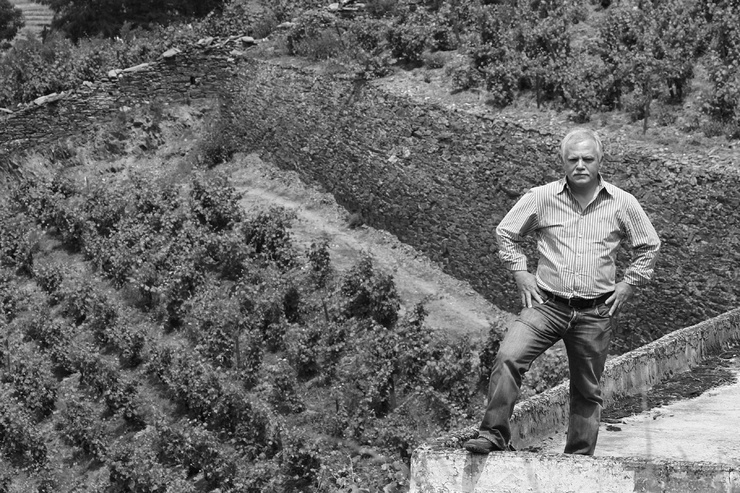 Průkopníci výroby vína v Douru - vinařství Alves de Sousa