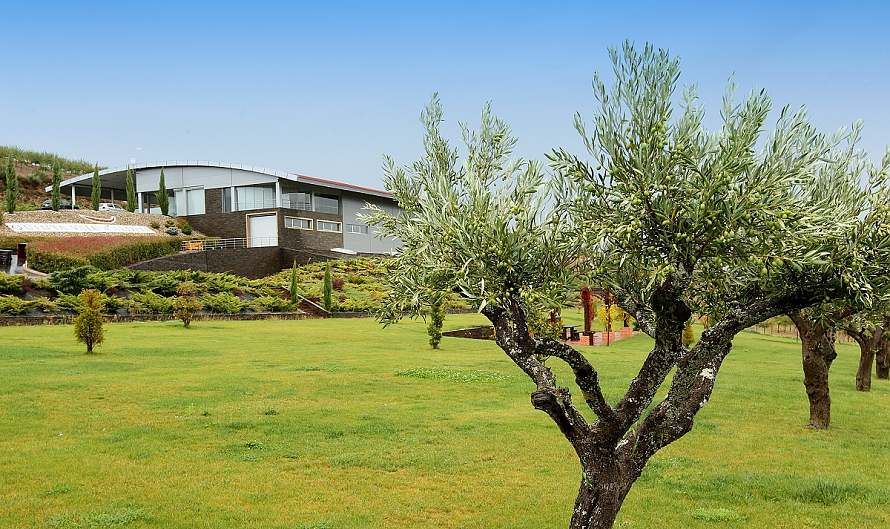 Quinta Vale d'Aldeia, vycházející hvězda oblasti Douro Superior