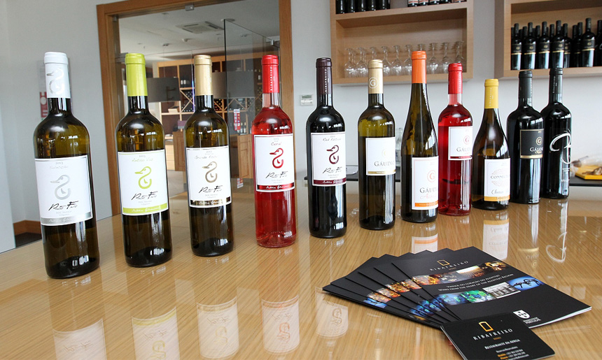 Umíte si vybrat vhodné víno k těstovinám?