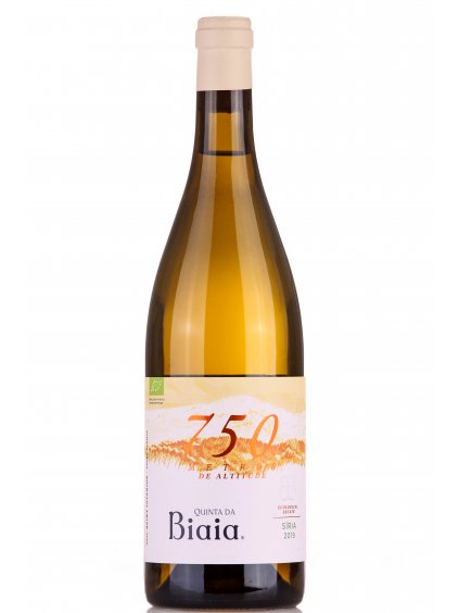 Biaia Síria 2019