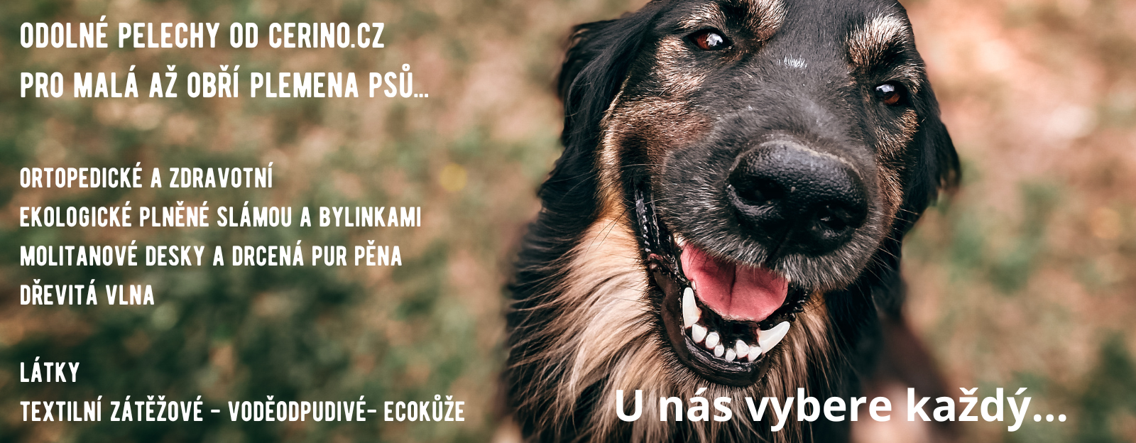 cerino.cz