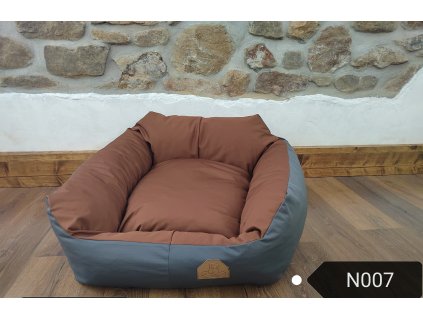 IE N007