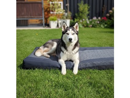 NÁHRADNÍ POTAHY NA MATRACE PRO PSY - MYSTERY BARVA