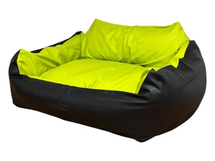 Photoroom 20260204 085004