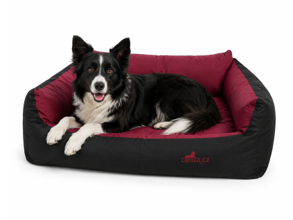 560A1EA5 E1D3 4CBA BEEF 79FF46C08B3C