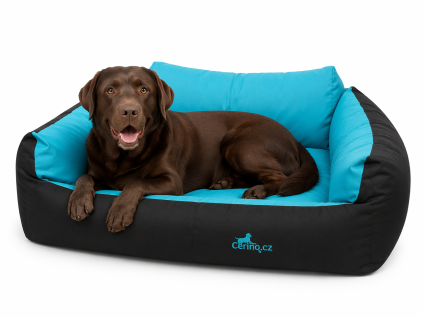 366CD460 5274 49B2 8EFE EF28D39C64EA