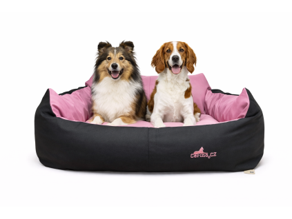 186D9AB4 EC95 4EDB 9285 6B4A4973E5B4