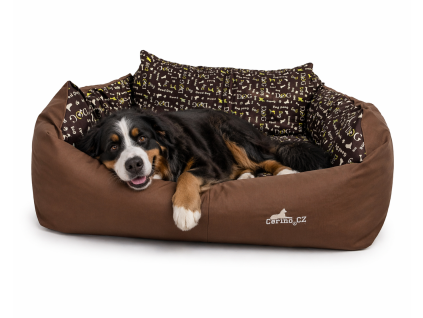 5DBDC2A9 0B7E 462B 9BBD E51A460C9FCA