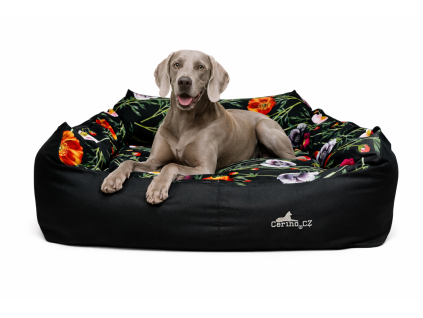 35B2CD8F EEF8 4A1B B383 0EC4FE5D8CAC