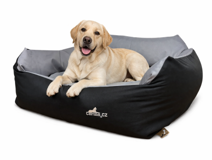 9AACEC20 094E 4269 A87A D189AA2B16C1