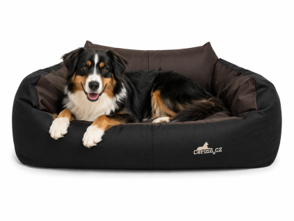 B0DA434D C0F9 41A2 9661 42A072C45363