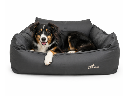 778381DD 2F77 421A 98FA B7D626662633