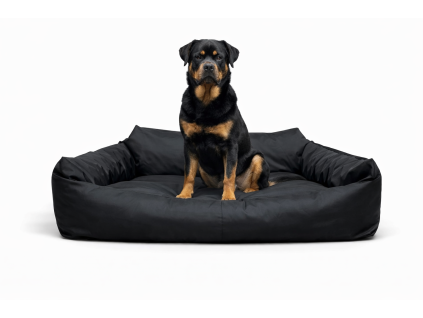 D13ABBFA 278D 4CAF B6C8 0C11E4884F40