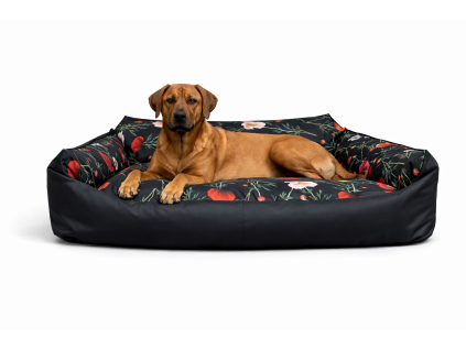 BC80106F CFBA 429E 89F7 8FEEC5532B8F