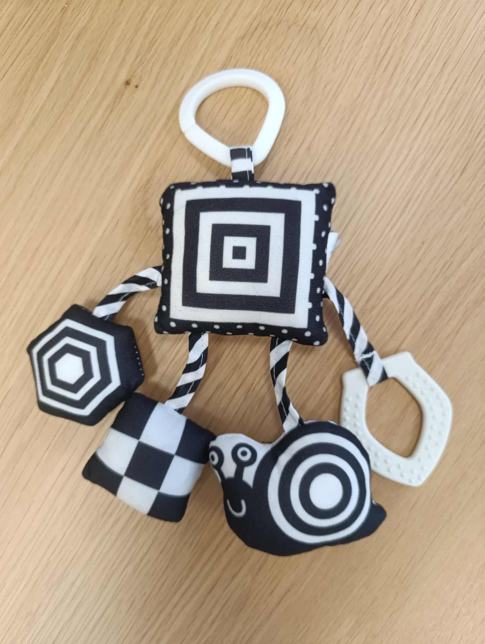 566559244_1128890542733925_2443924696516418441_n