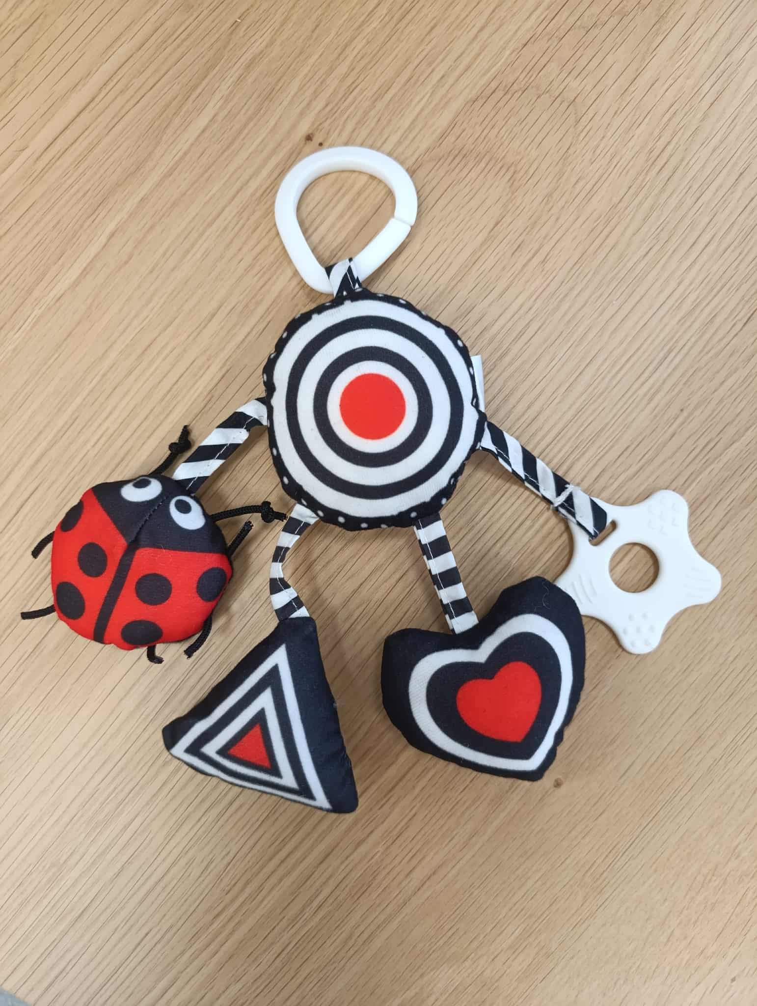 569971128_1986263105280592_6384839115554684399_n