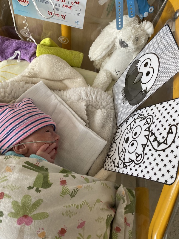 Novorozenec a kontrastní obrázky