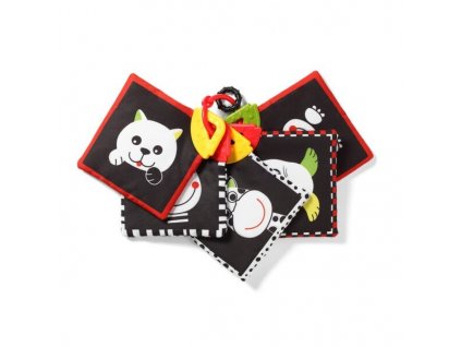 781 DREAM TEAM educational cards 2P Babyono Z 600x600