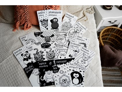 CB23 prodfoto kontrastni karticky Zoo Sada1 SA706930 CT