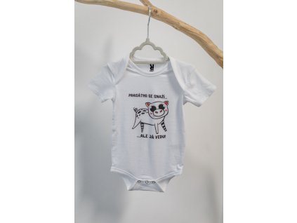 Bodyčko "PRASÁTKO"