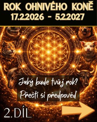 Druhá část predikce pro tvoje znamení čínského horoskopu je tady! Pokud se budeš chtít dozvědět víc, najdeš vše na našich...