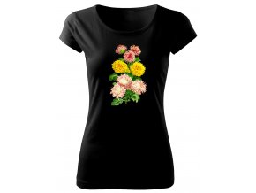 kytka chrysantema