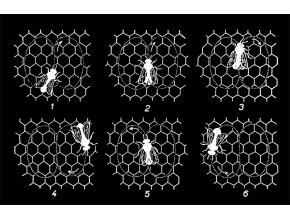 tance včel černé triko dárek pro včelaře