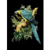 Papoušek Ara ararauna - tričko s potiskem (Pánské/Dámské Dámské černé, Velikost XXL)