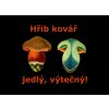 Hřib kovář obrázek ne tričku
