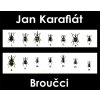 Broučci - tričko s potiskem (Pánské/Dámské Dámské černé, Velikost XXL)