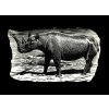 Nosorožec - tričko s potiskem (Pánské/Dámské Dámské černé, Velikost XXL)