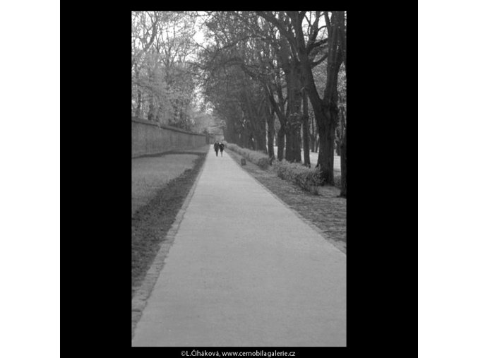 Dvojice na cestě (5246), žánry - Praha 1967 duben, černobílý obraz, stará fotografie, prodej