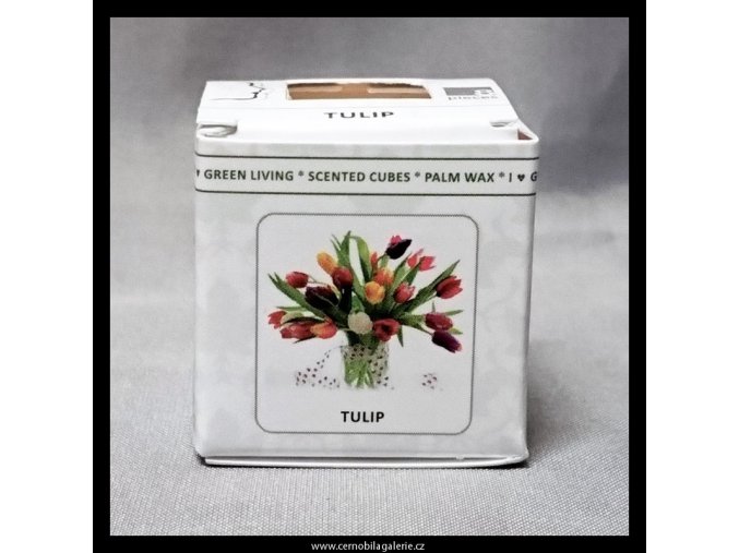 12004 aroma kostky tulipany